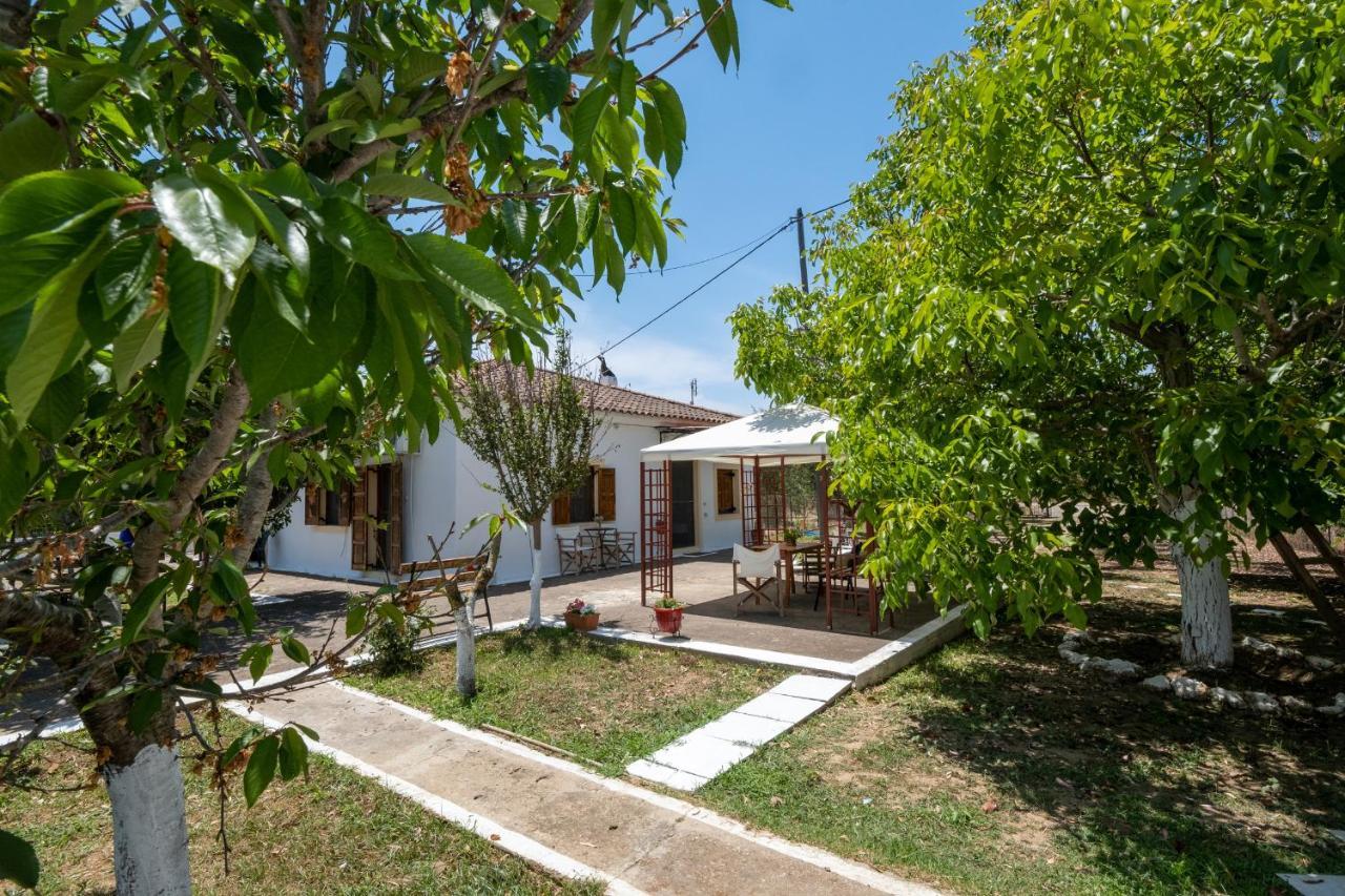 Nagia'S House, Εξοχική Κατοικία Κοντά Στη Θάλασσα! Korakokhórion Dış mekan fotoğraf